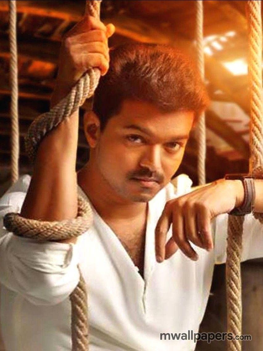 853x1137 Vijay HD Hindi Actor Wallpaper