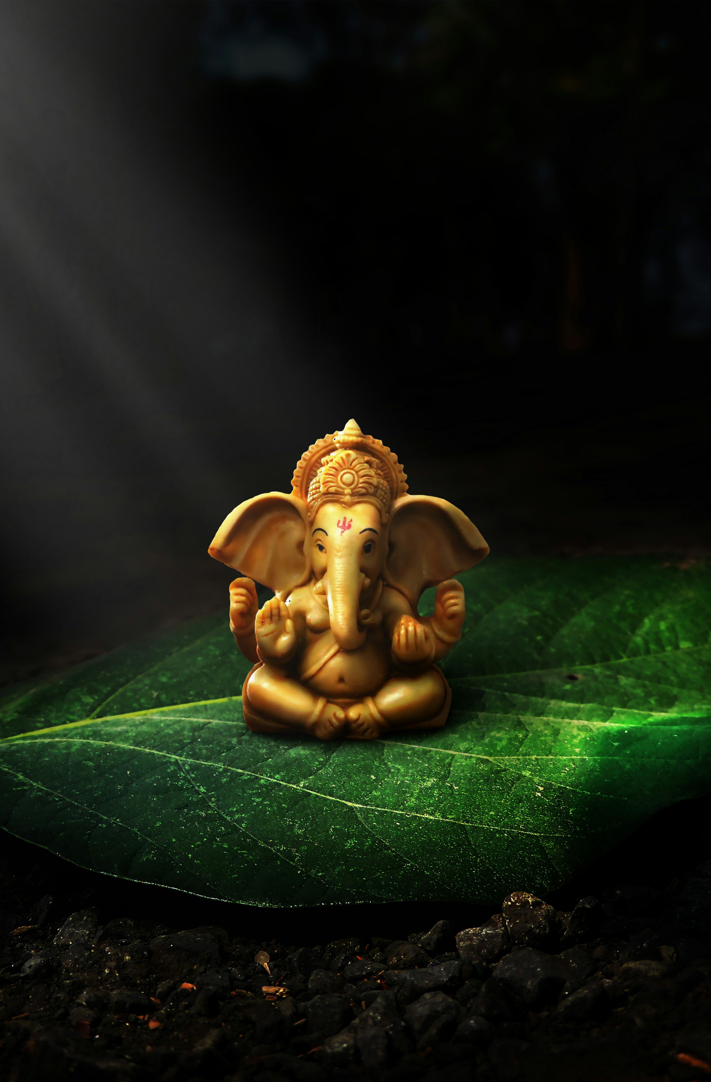 3000x4566 Ganesh Picture [HD]. Download Free Image