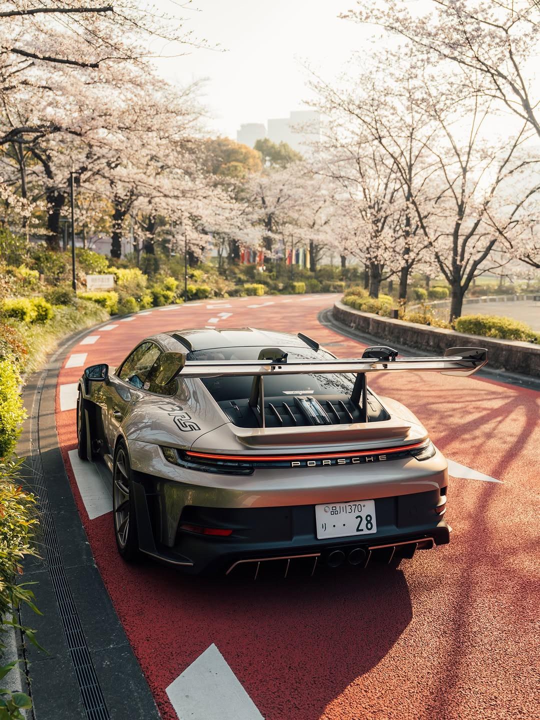 1080x1440 Porsche in the Japanese blossoms