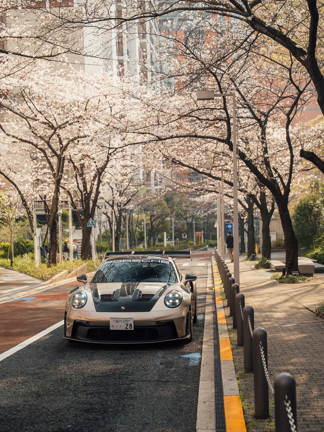 1080x1440 Porsche in the Japanese blossoms