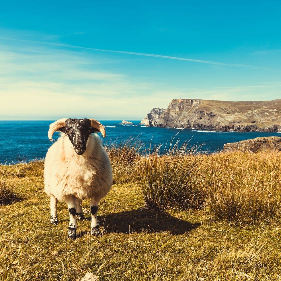 980x978 Solo holidays travel tours for stylish travellers in 2020
