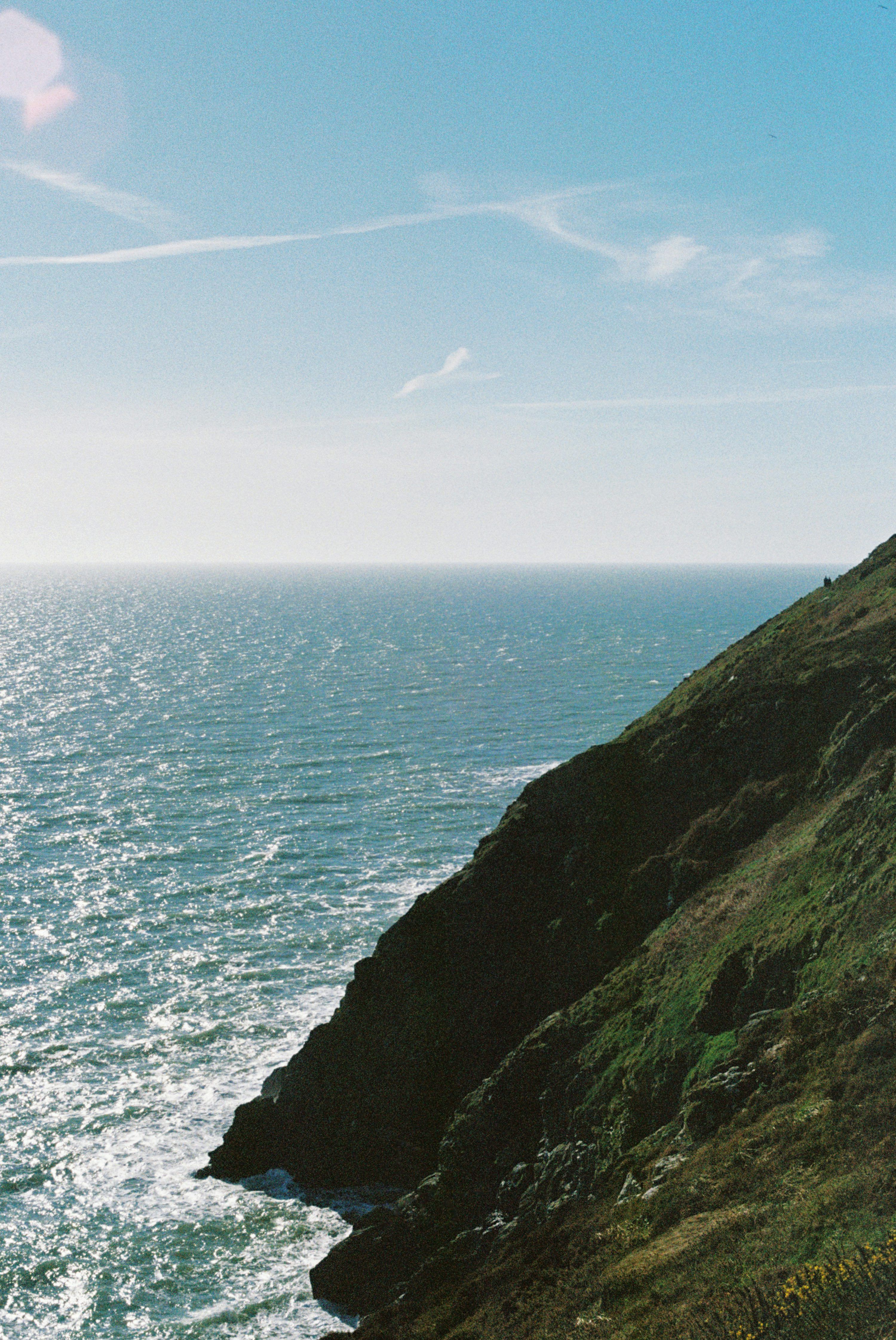 3000x4485 A couple of sheep standing on top of a lush green hillside photo