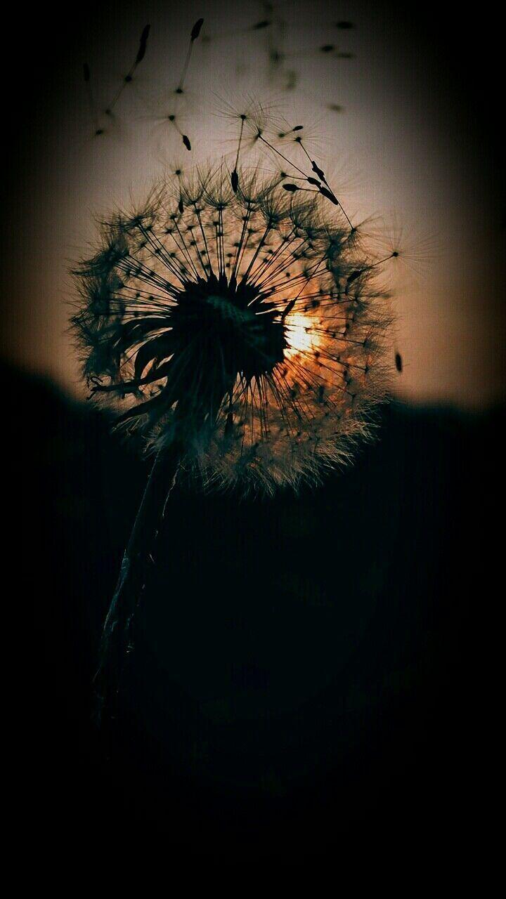 720x1280 Spiritual Advisor, Psychic And Healer. Vedic Readings In USA Call Text +27785561683 Email: Mamaelon1. Planos De Fundo, Tumblr Wallpaper, Wallpaper Paisagem