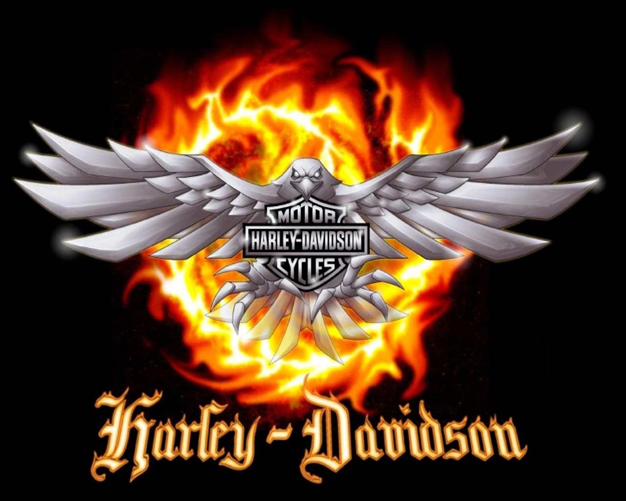 Hình nền Logo Harley Davidson 1280x1024.  Logo Harley Davidson.  Motocicletas