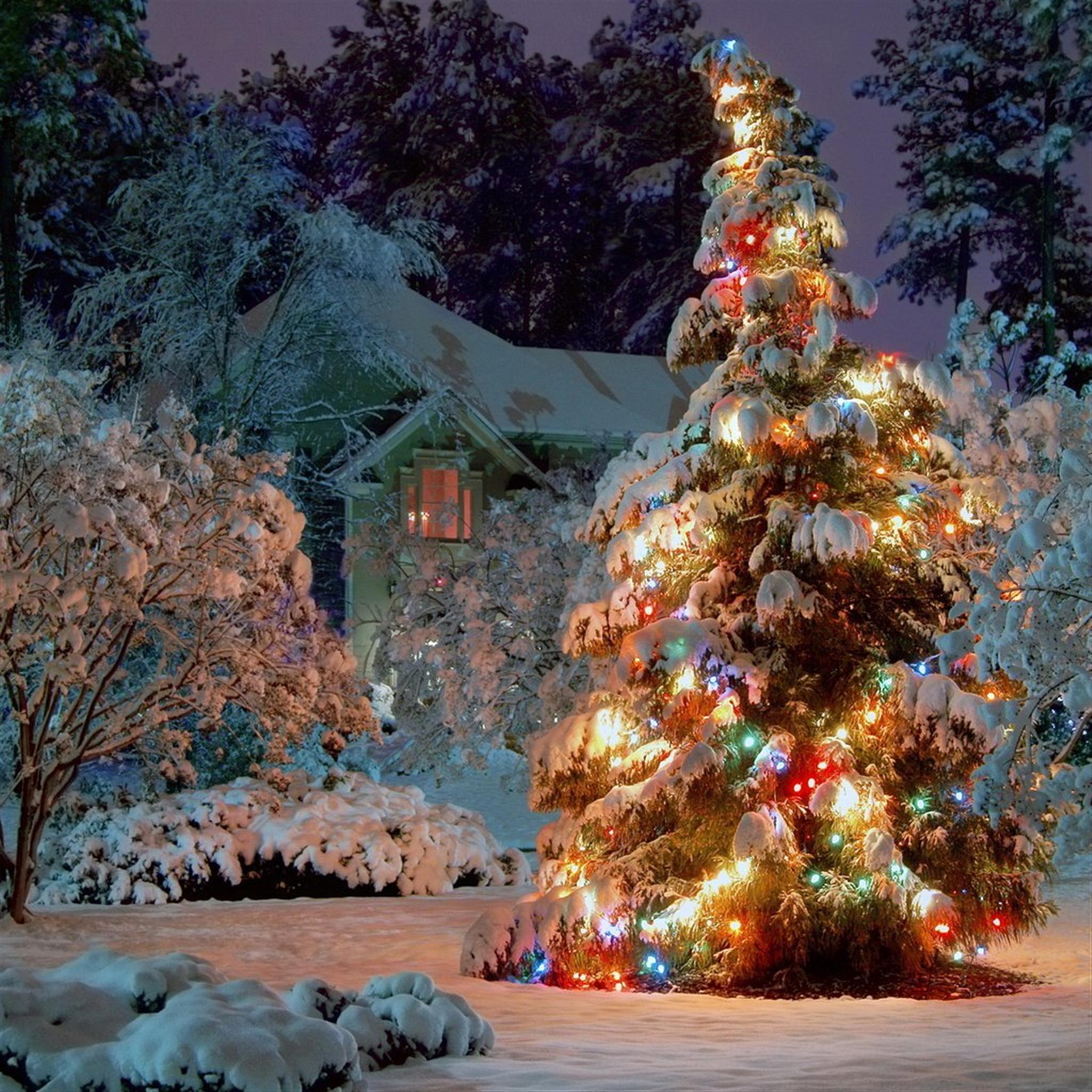 2048x2048 Christmas iPad Wallpaper