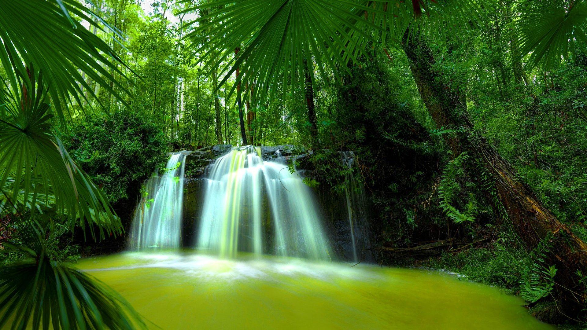 1920x1080 Lovely Waterfall HD Hình nền cho Pc