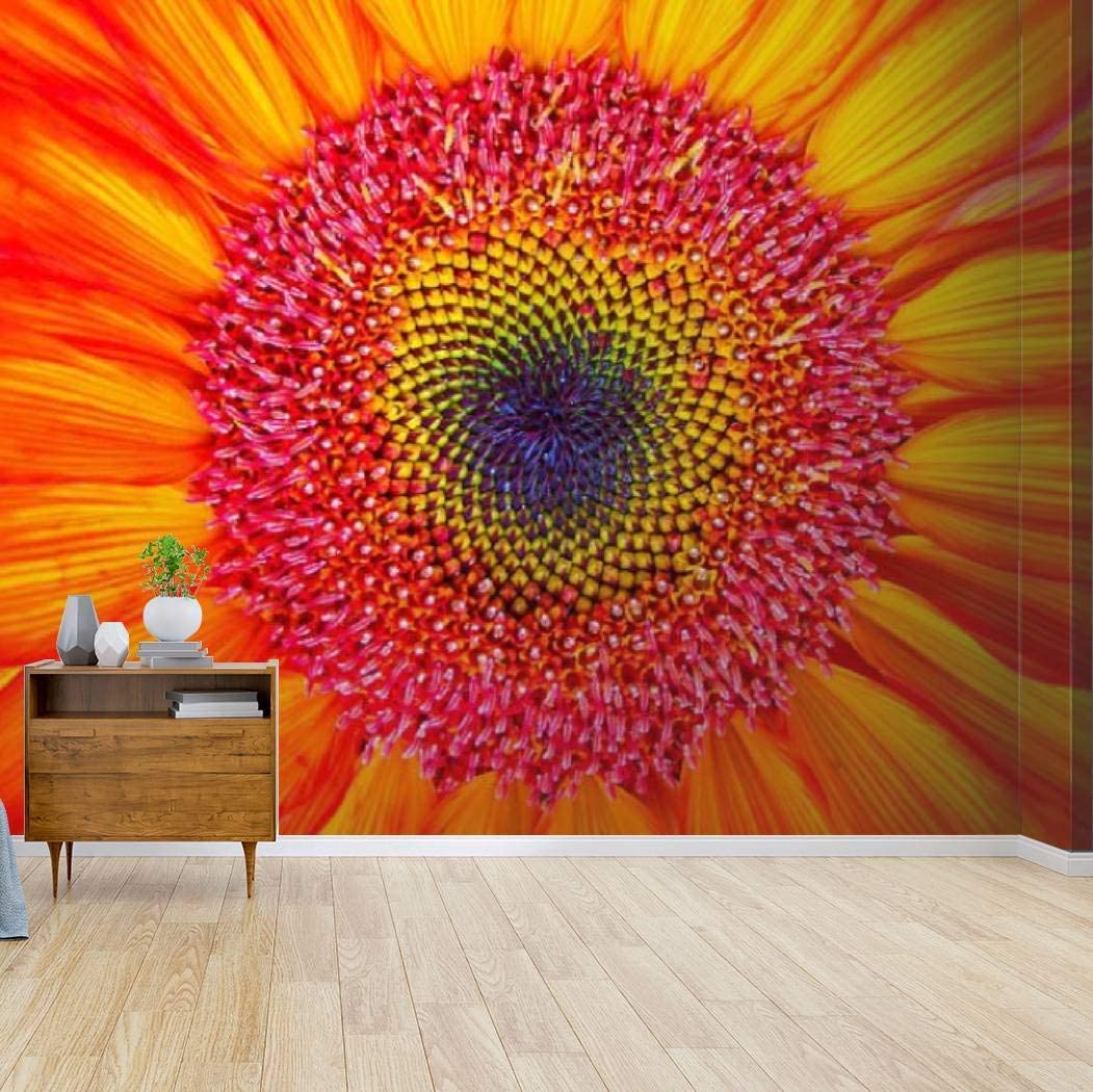 1051x1050 dyed orange sunflower close up background rainbow sunflower stock Canvas Print Wallpaper Wall Mural Self Adhesive Peel & Stick Wallpaper Home Craft Wall Decal Wall Poster Sticker for Living Room: Home