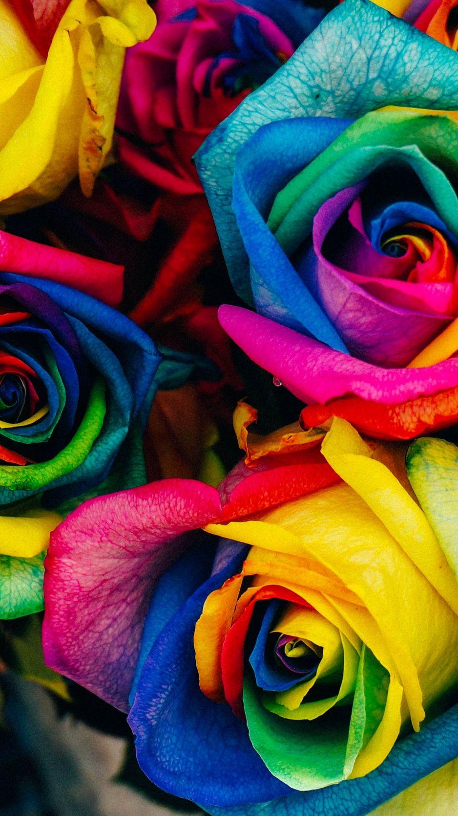 938x1668 Wallpaper Roses, Colorful, Rainbow Roses Wallpaper & Background Download