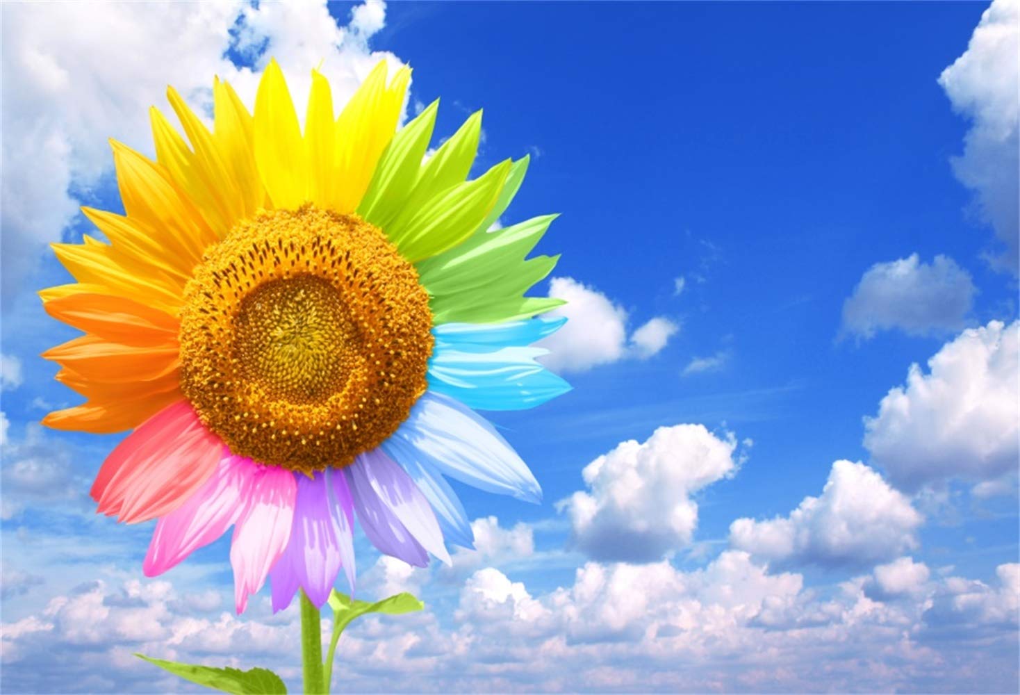 Rainbow Sunflower Wallpapers Top Free Rainbow Sunflower Backgrounds