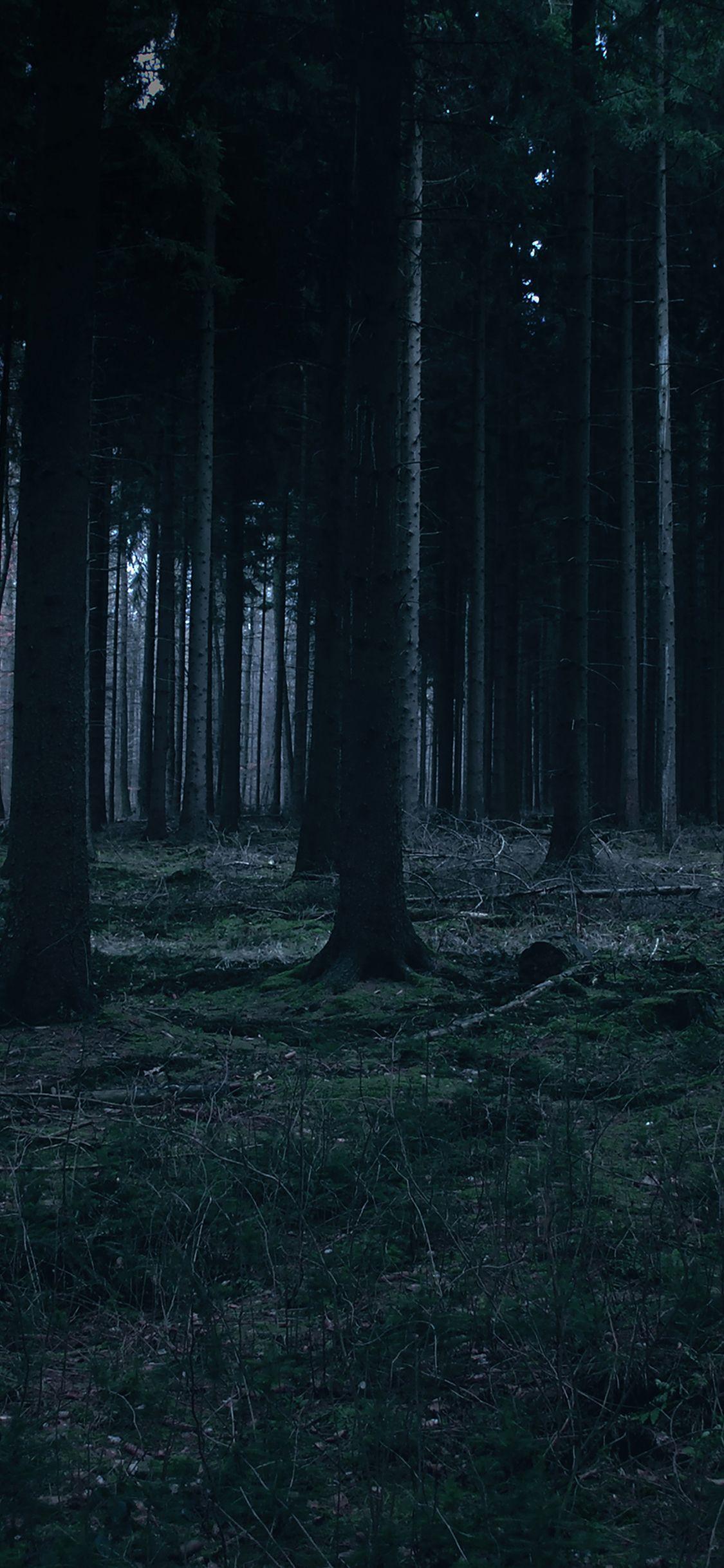 1125x2436 Forest Dark Night Trees Nature