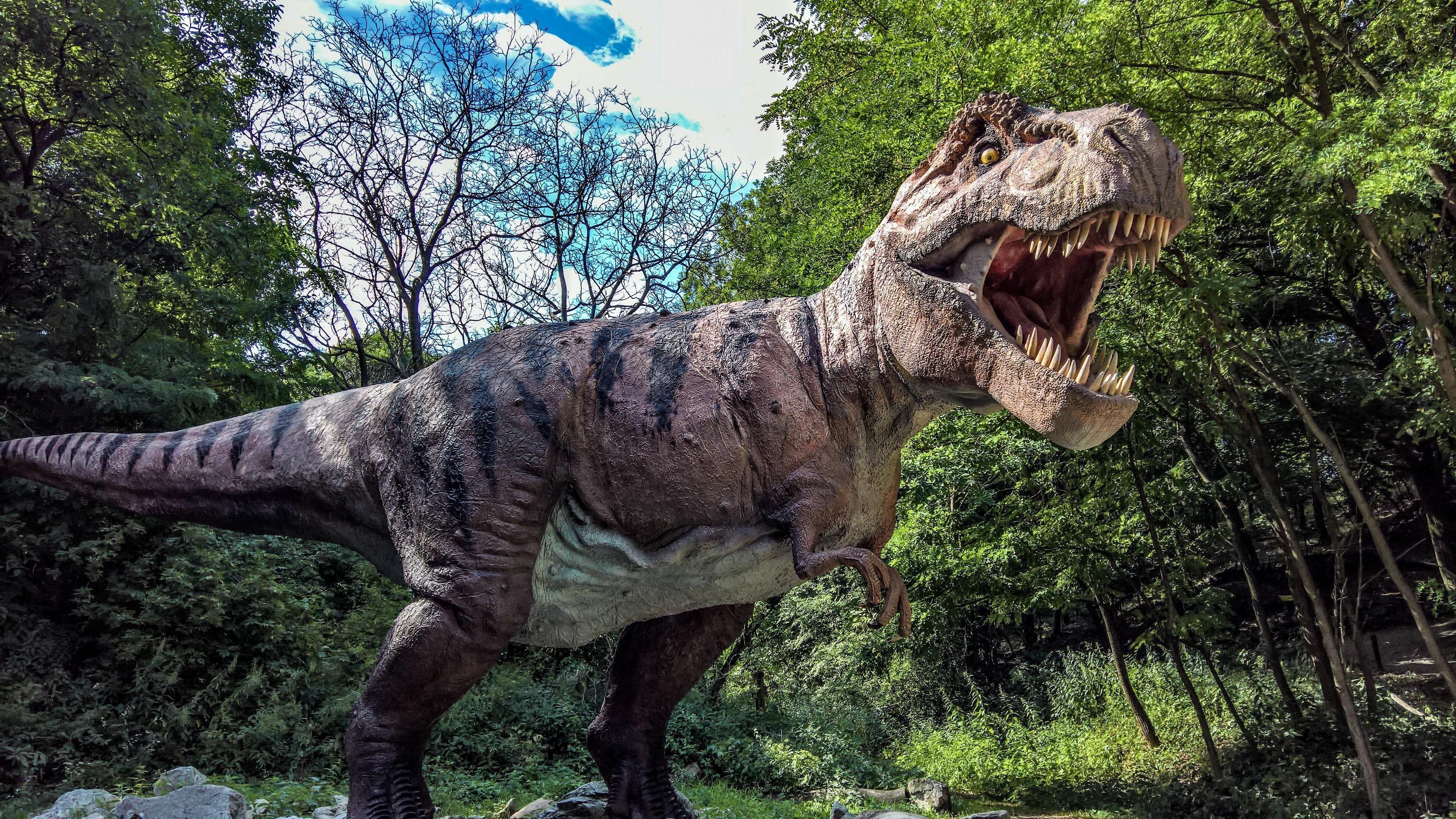 3840x2160 3840x T Rex Dino In The Dino Park, Bratislava