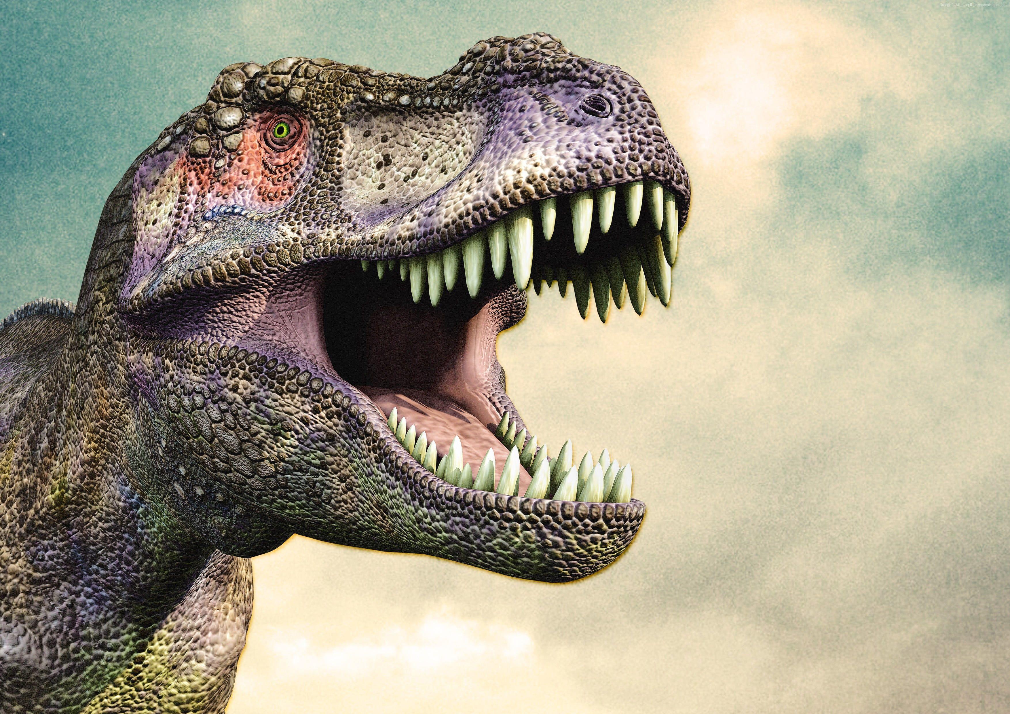3508x2480 T Rex Dinosaur Wallpaper HD