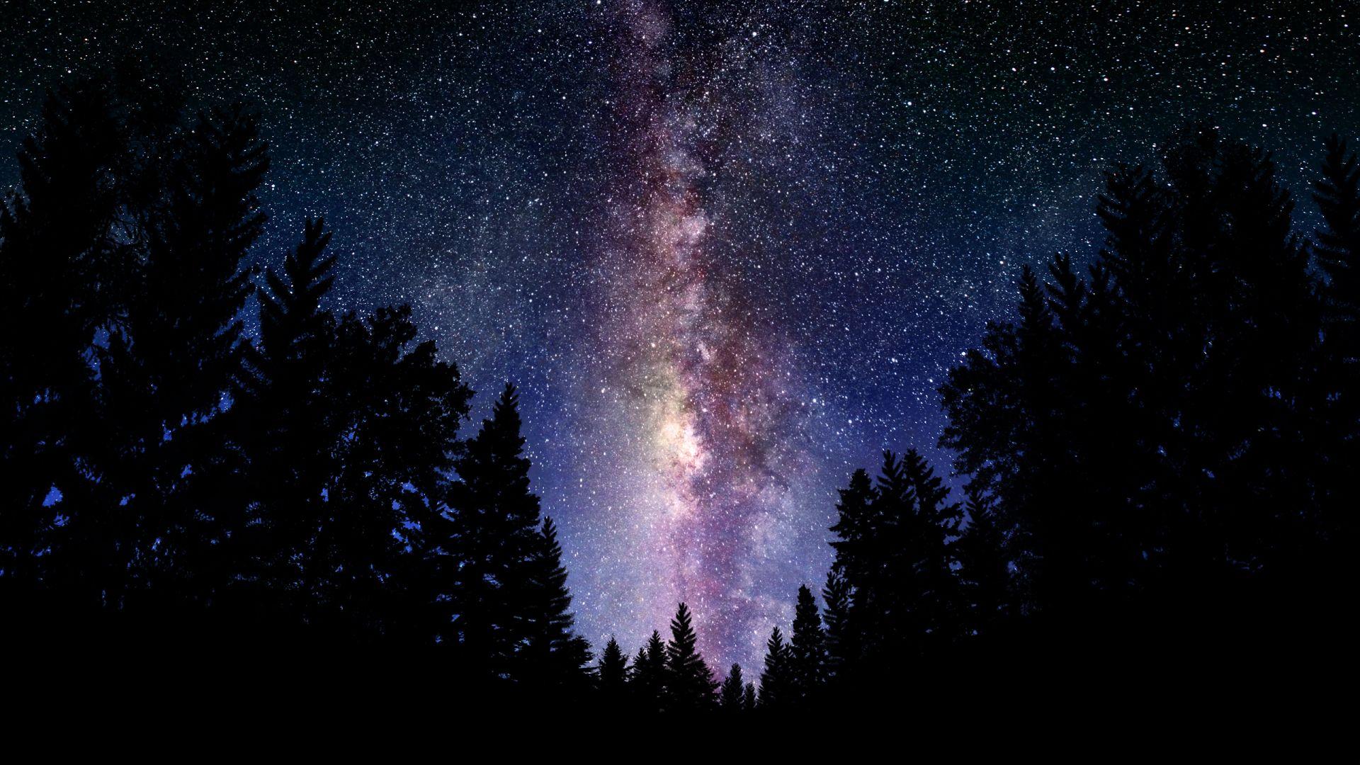 1920x1080 Free download wallpaper Starry Night sky over the forest Wallpaper 3D for desktop [2560x1600] for your Desktop, Mobile & Tablet. Explore Night Sky Wallpaper for Computer. Winter Night Sky