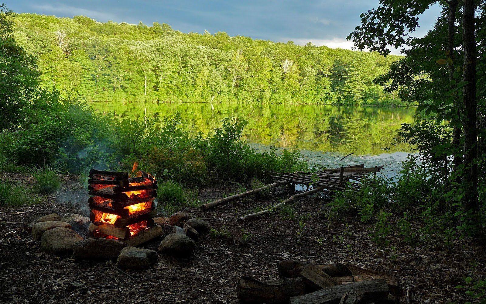1600x1000 Funny Camping Wallpaper