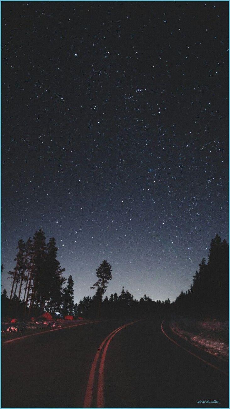 732x1303 Moon light and stars night background with trees nature art image and stars wallpaper