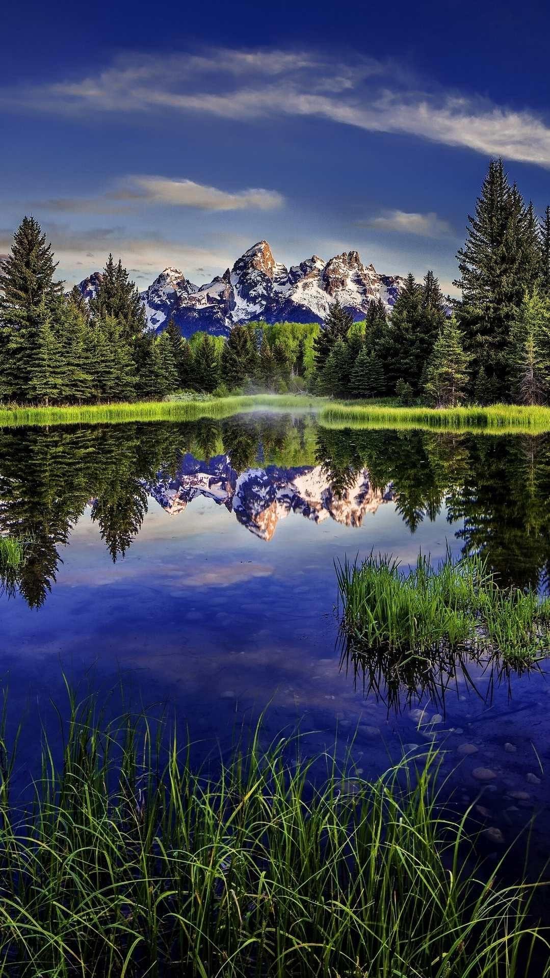 1079x1919 Beaver Pond Grand Teton National Park Android Wallpaper. Beautiful nature, Nature picture, Nature photo