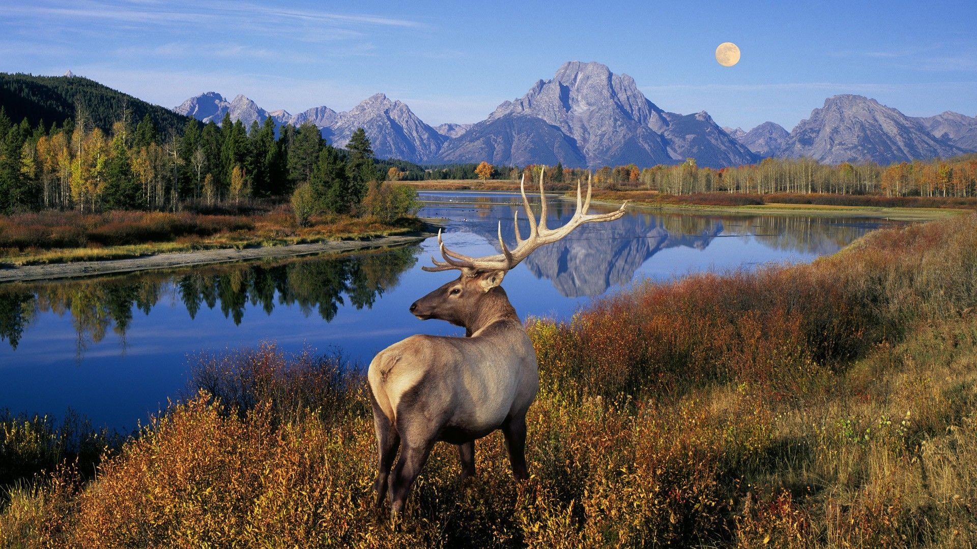 Grand Teton National Park Wallpapers Top