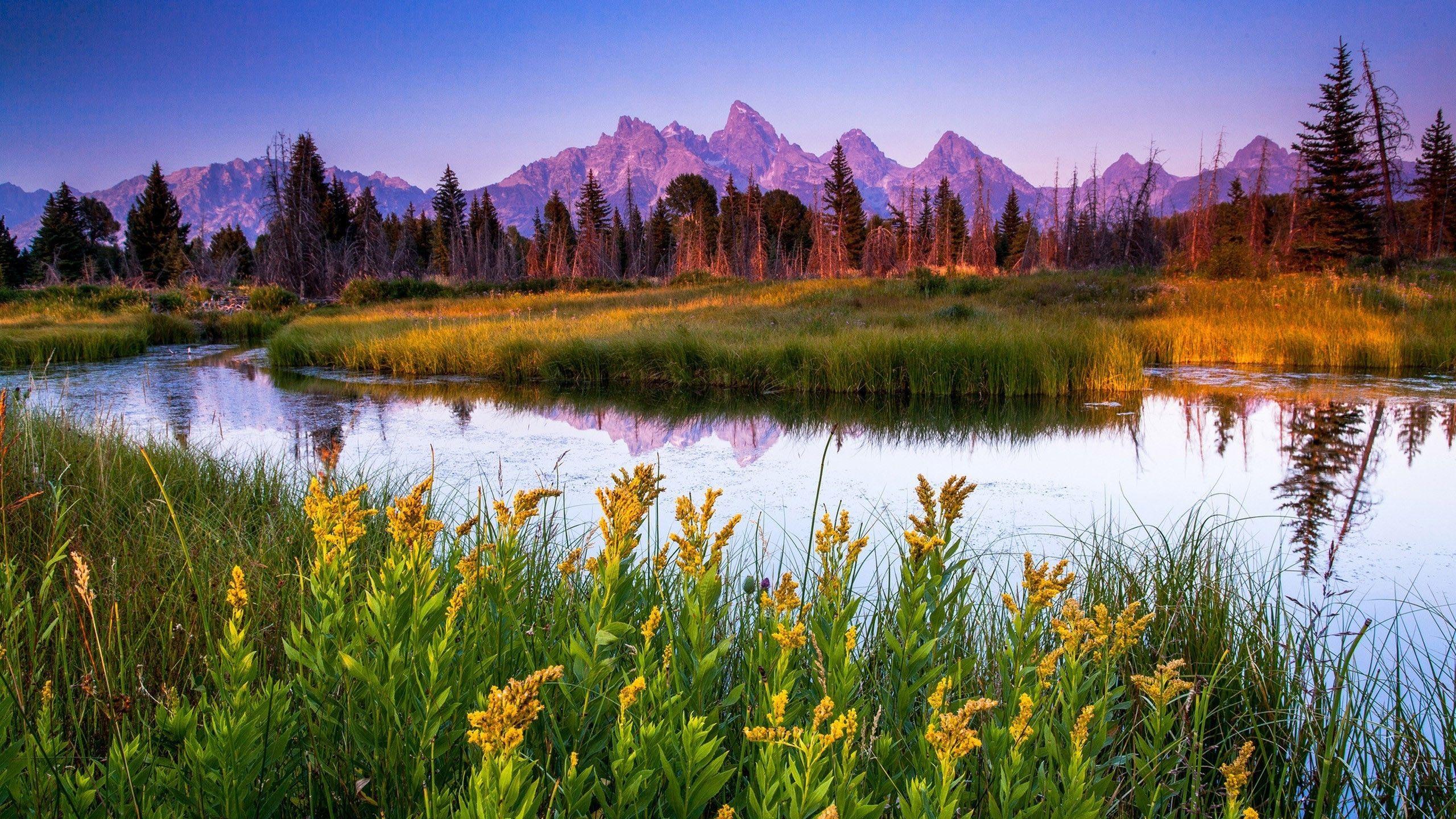 2560x1440 Download 2560x1440 Grand Teton National Park Wallpaper