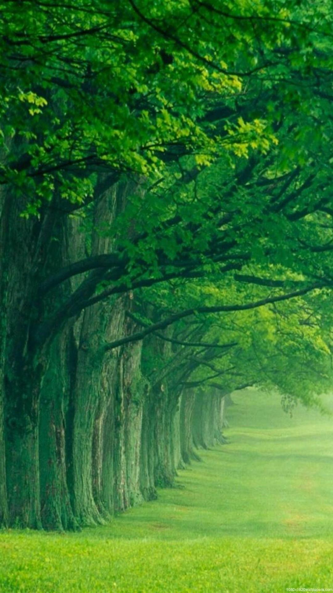 1080x1920 Vertical Nature Wallpaper HD 1080p