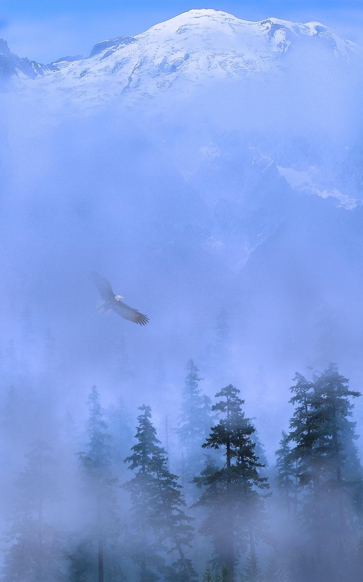 1200x1920 Vertical Monitor Wallpaper Determines Your Altitude Wallpaper & Background Download