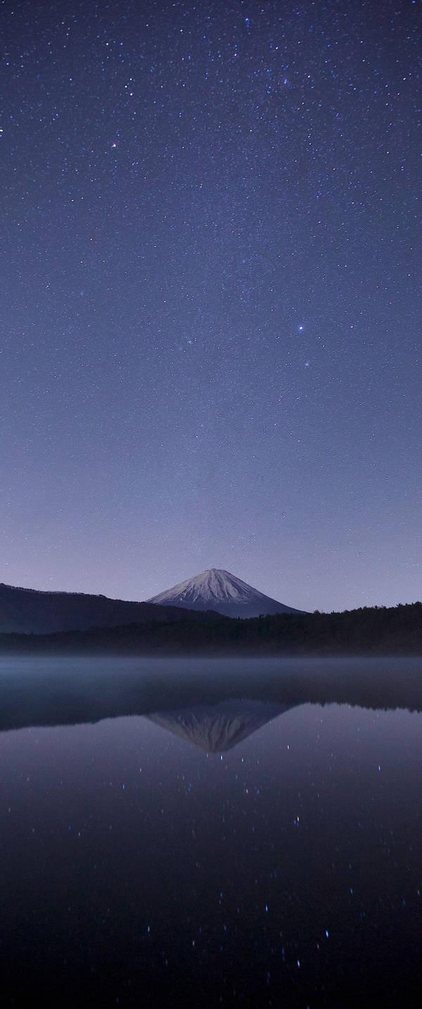 600x1433 Vertical Wallpaper