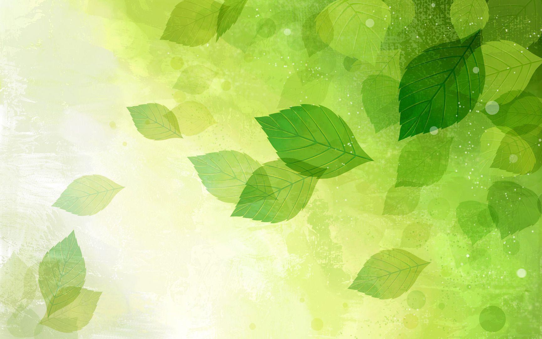 Green Autumn Wallpapers Top Free Green Autumn Backgrounds