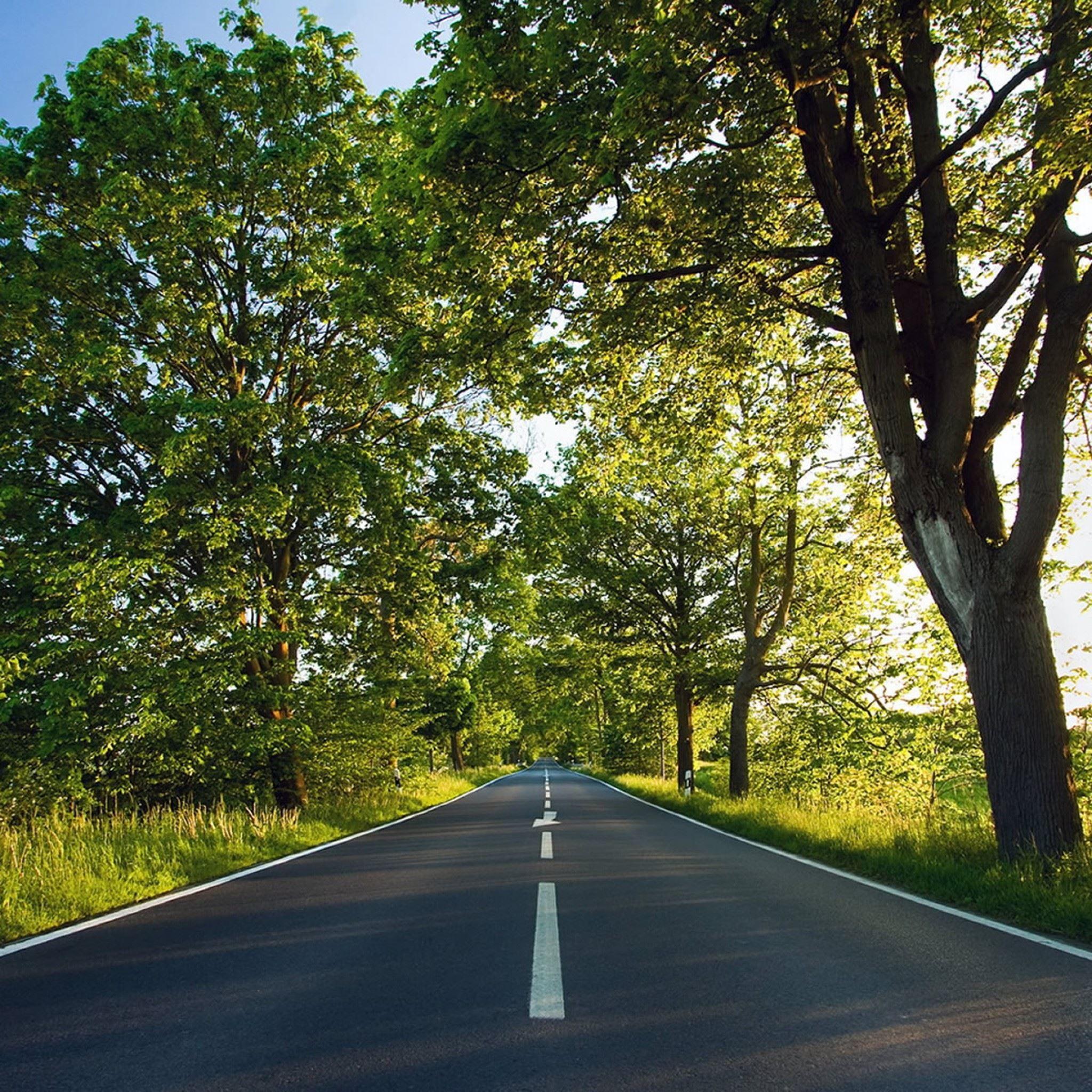 2048x2048 Spring road iPad Air Wallpaper Free Download