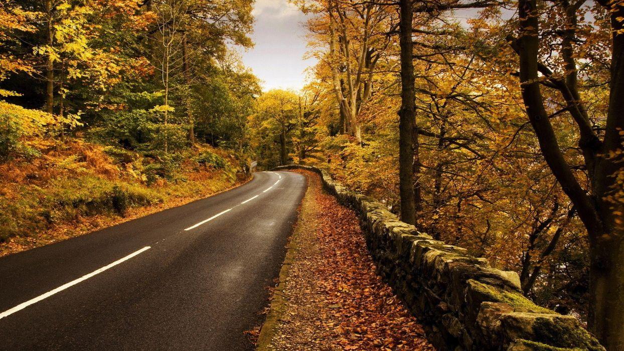 1244x700 Landscapes nature trees spring roads wallpaperx1080