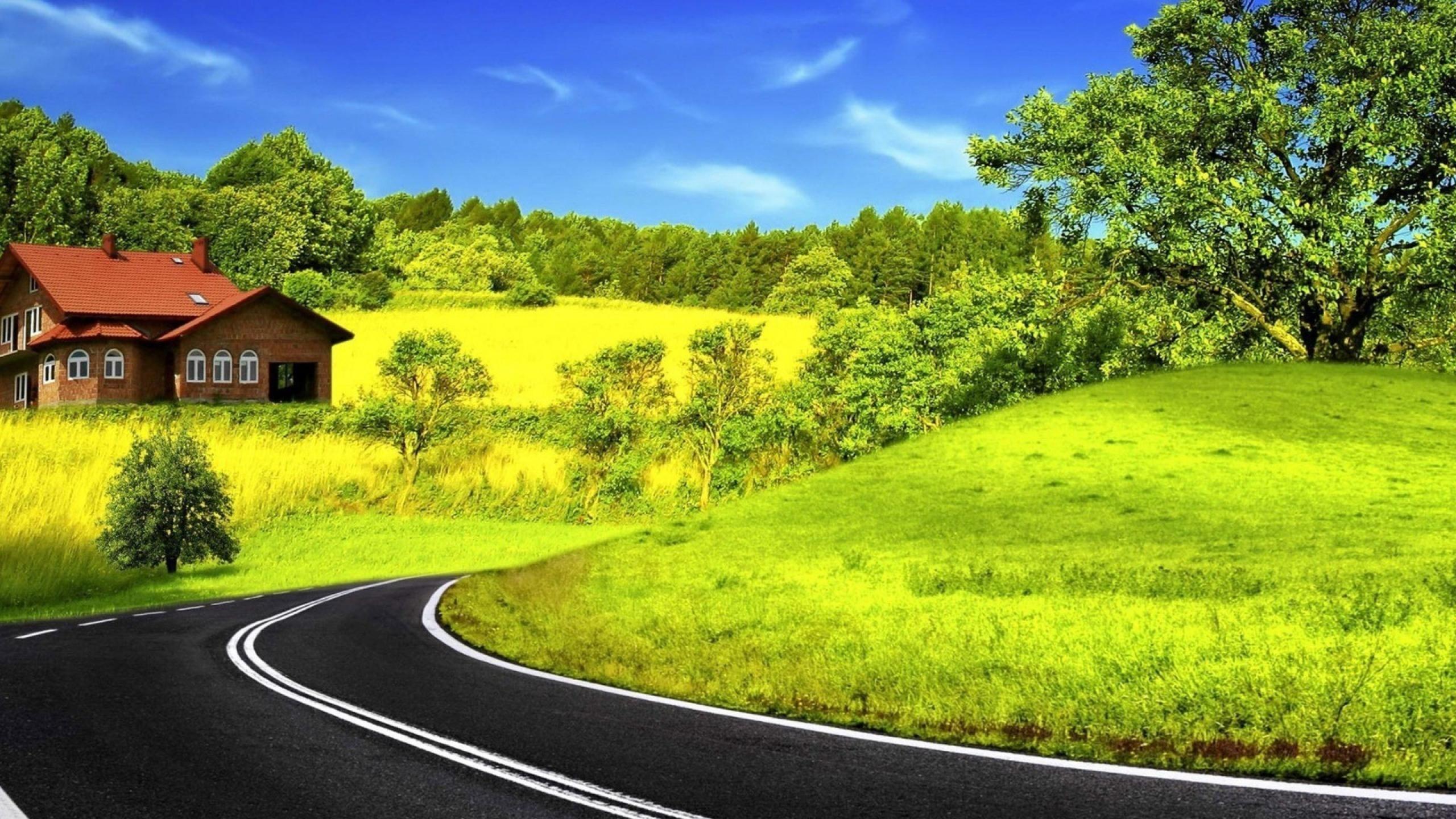 2560x1440 Road Background Nature Wallpaper. Forest cottage, Nature wallpaper, Nature