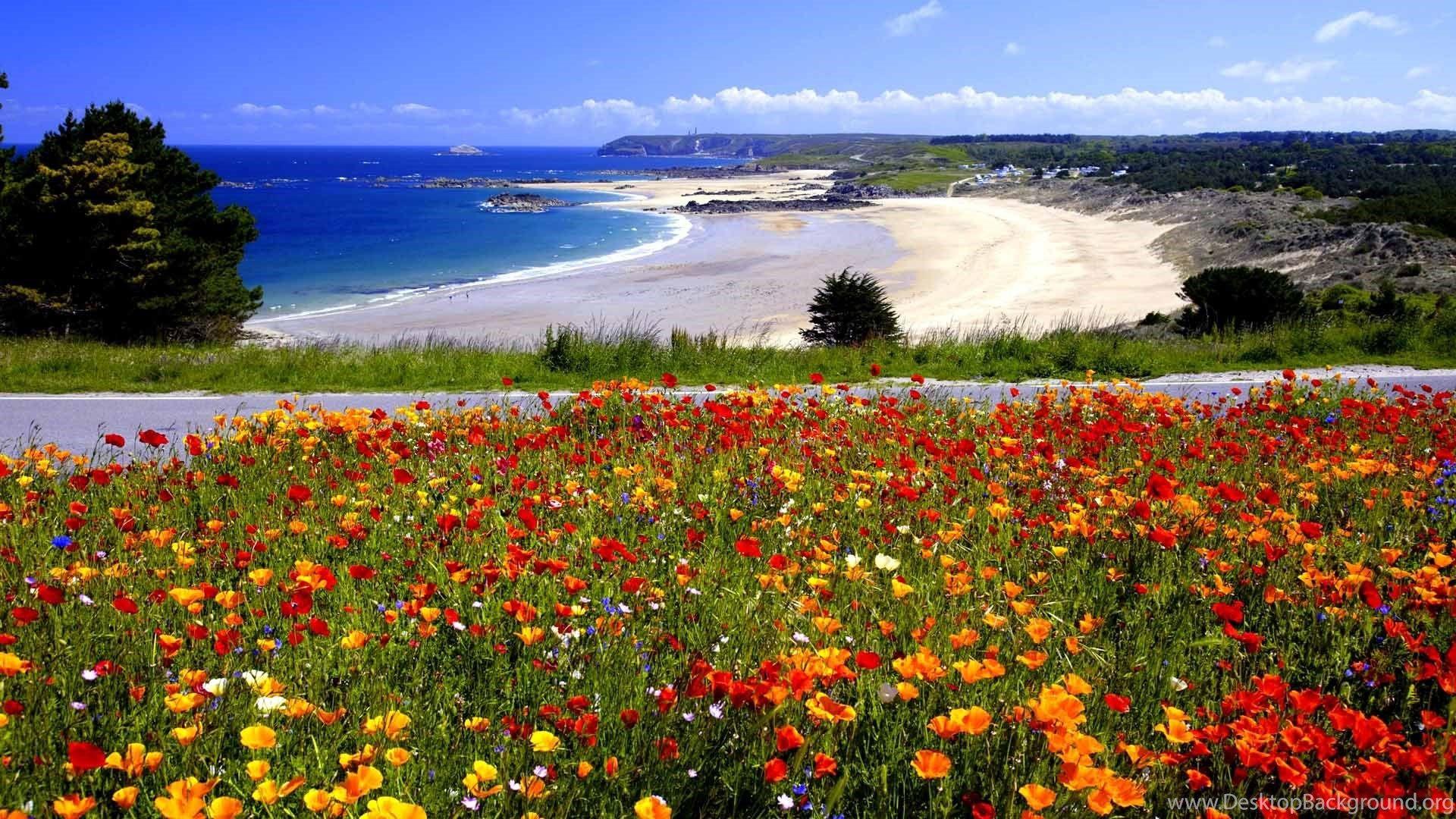 1920x1080 Latest Spring Road HD Wallpaper Free Download Desktop Background