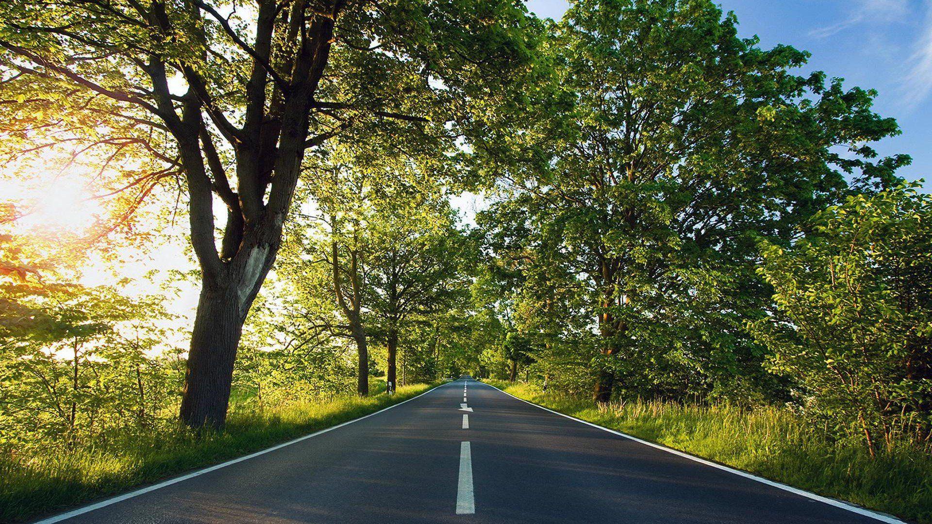 1920x1080 Full Screen Spring Wallpaper