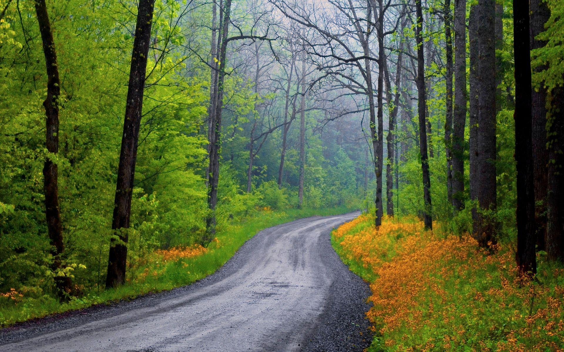 1920x1200 Dream Spring 2012 to my village Wallpaper Wallpaper 96876