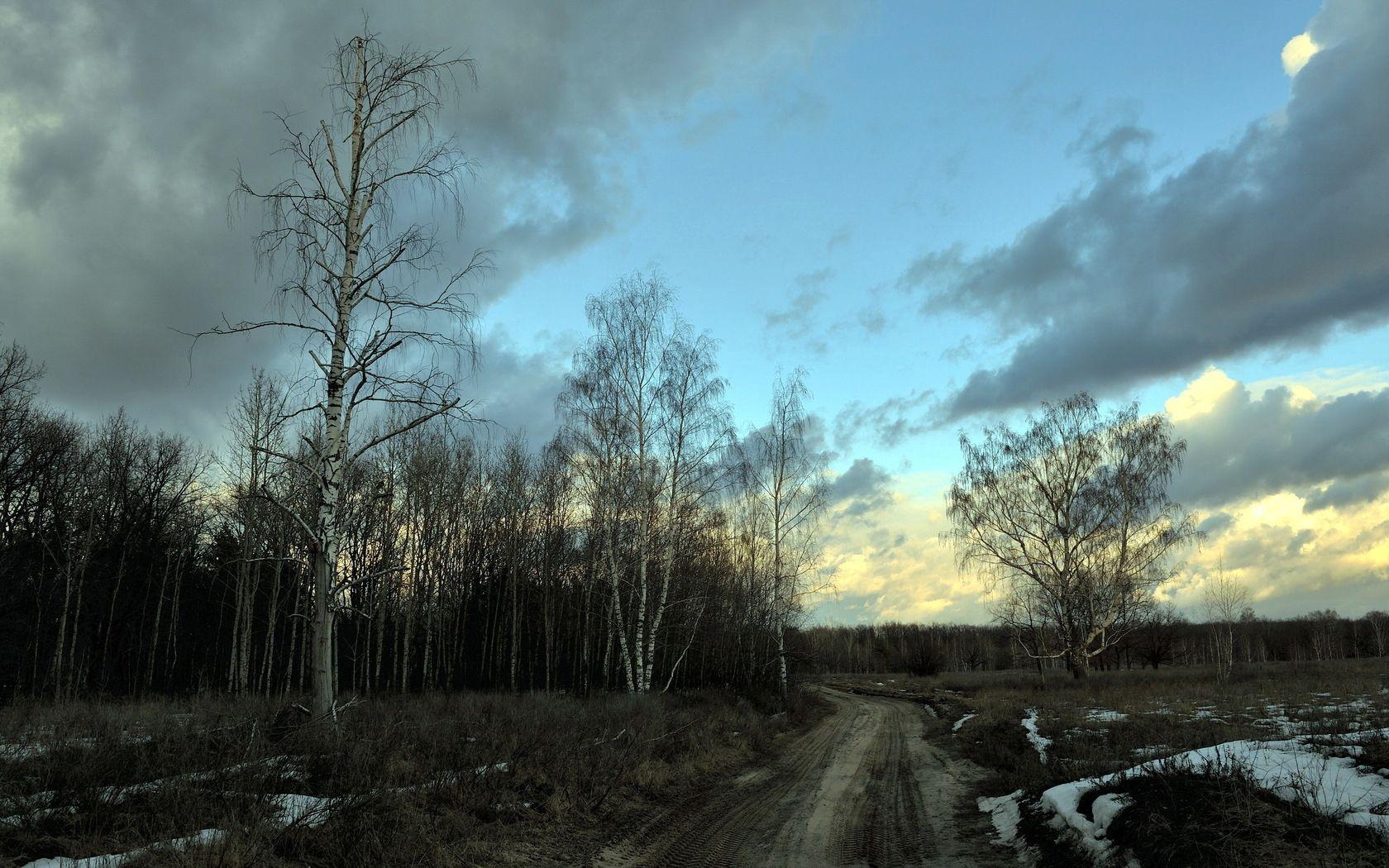 1680x1050 Download wallpaper 1680x1050 birches, spring, road, snow, gray, evening HD background