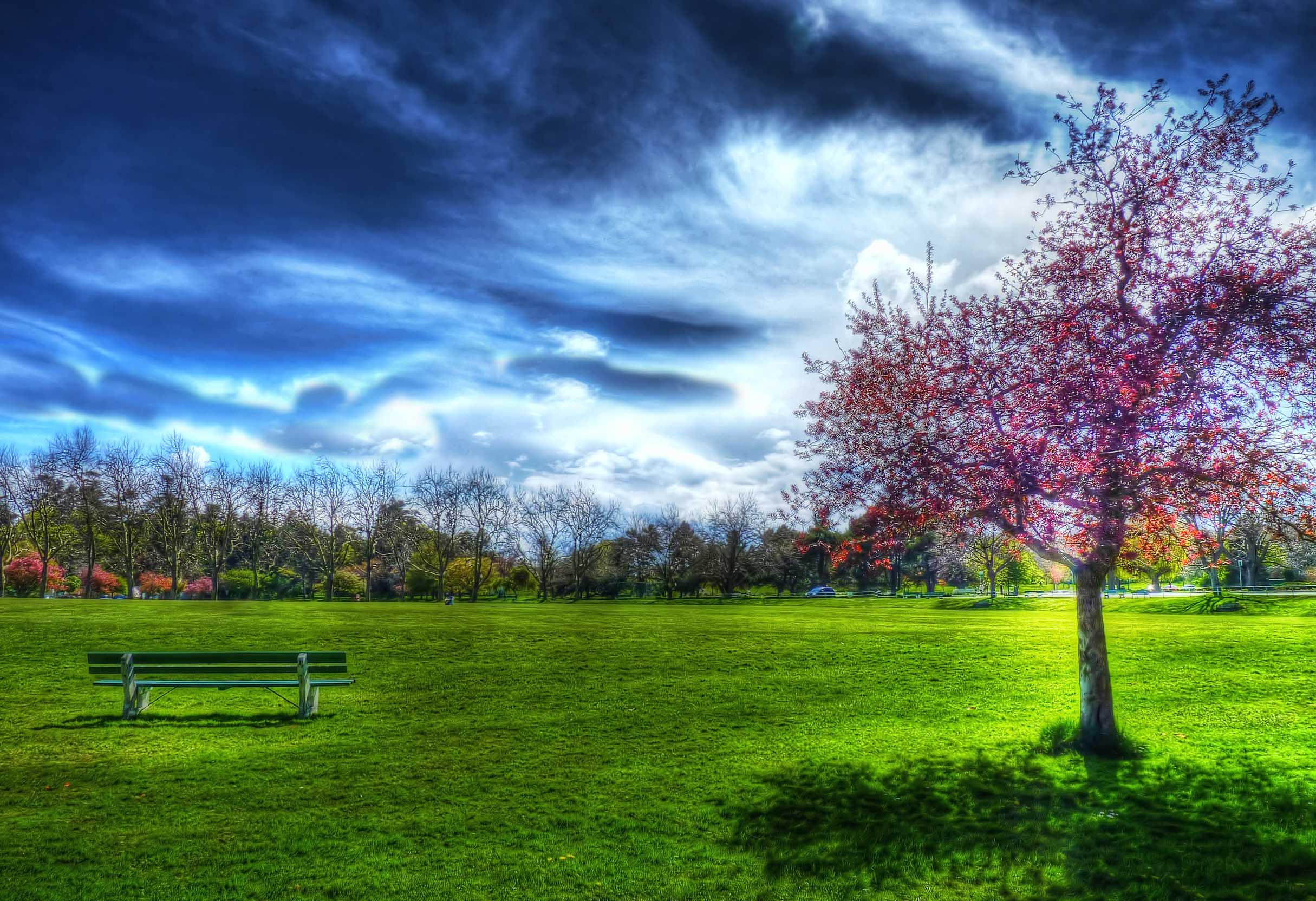 2430x1664 Free download Latest Spring Road HD Wallpaper Download [2430x1664] for your Desktop, Mobile & Tablet. Explore HD Wallpaper Downloads Free Spring. Free HD Wallpaper 1080p, HD Widescreen Wallpaper 1080p