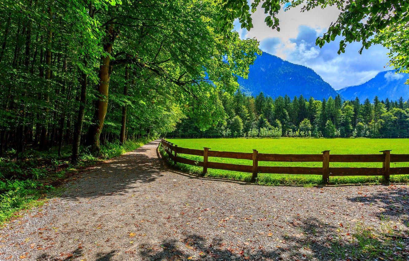 1332x850 Wallpaper road, forest, trees, nature, Park, spring, forest, road, sky, trees, landscape, nature, park, clouds, scenery, spring image for desktop, section пейзажи