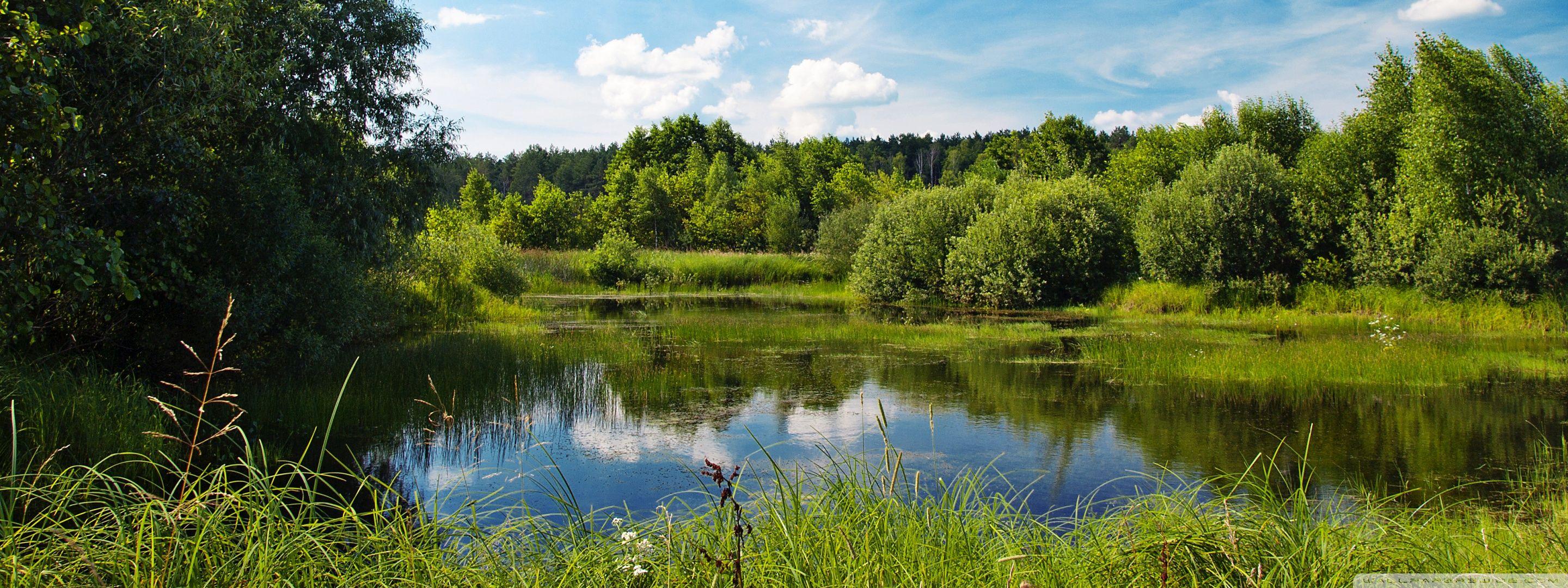 Pond Wallpapers - Top Free Pond Backgrounds - WallpaperAccess