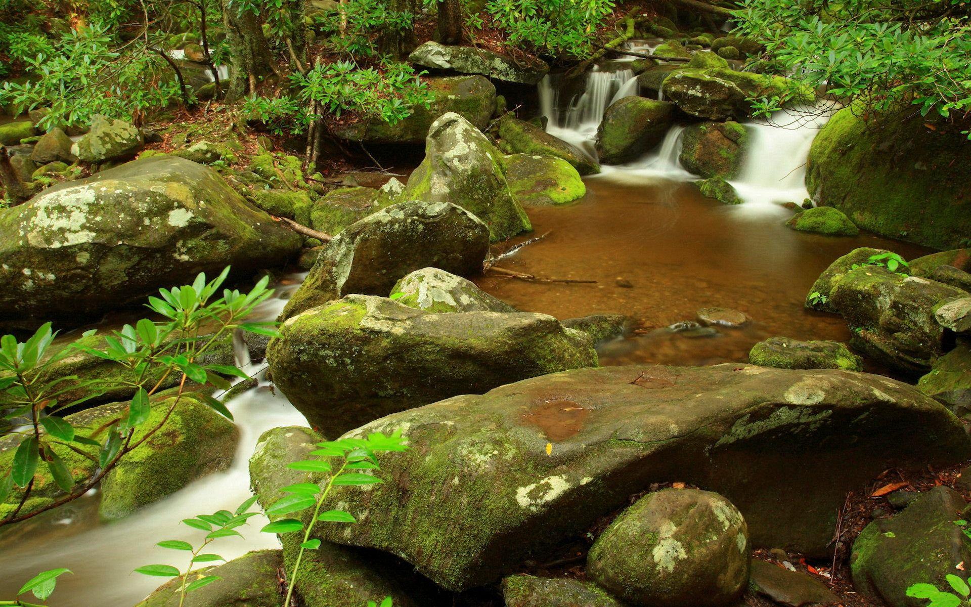 1920x1200 Pond Wallpaper Rivers Nature Wallpaper in jpg format for free download