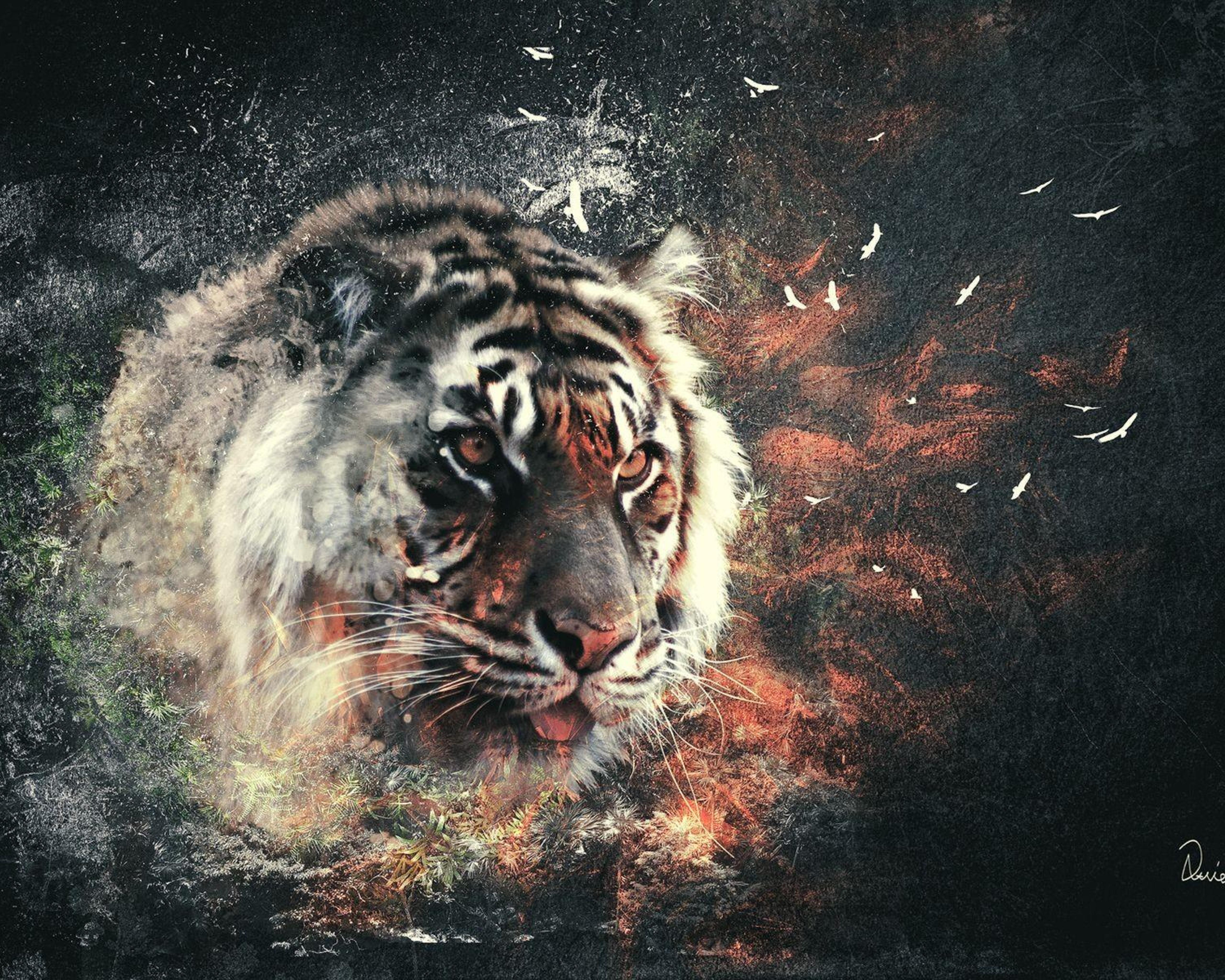 Japanese Tiger  Art  Wallpapers  Top Free Japanese Tiger  