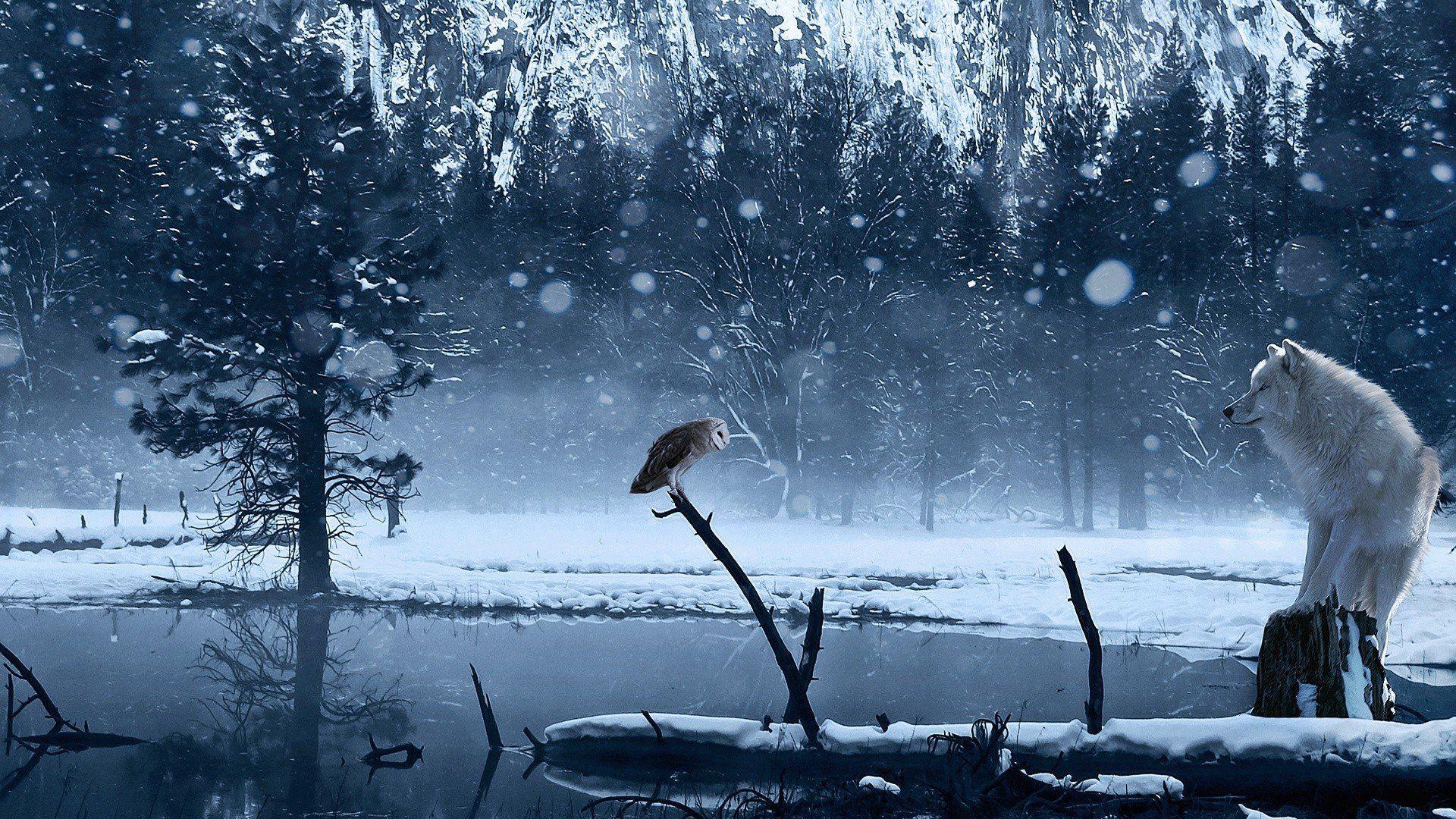 1920x1080 Snow Wallpaper 1920x1080