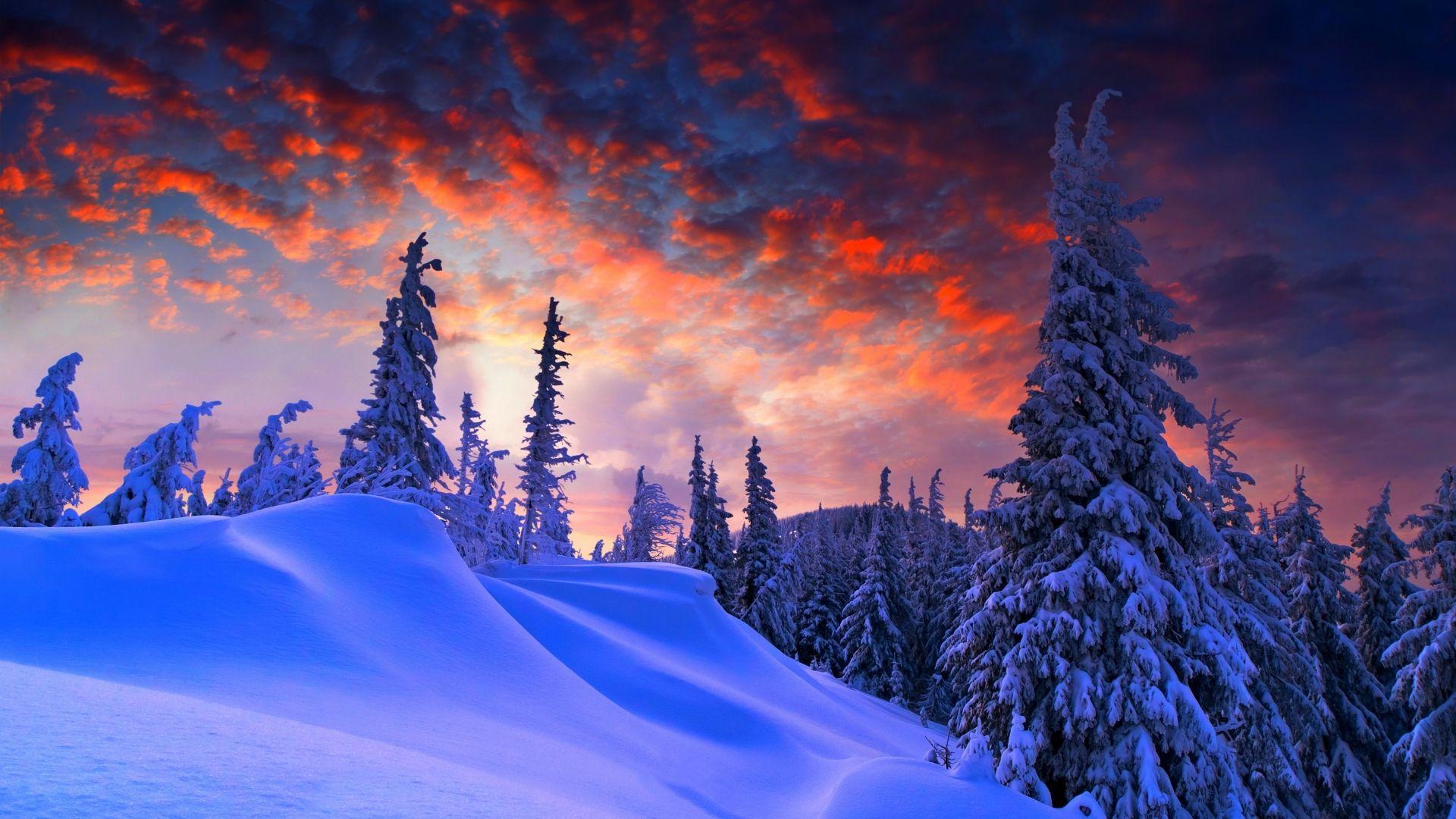 1920x1080 Download forest, snow, winter, sunrise, clouds, 8k HD 1080p wallpaper 1920x1080