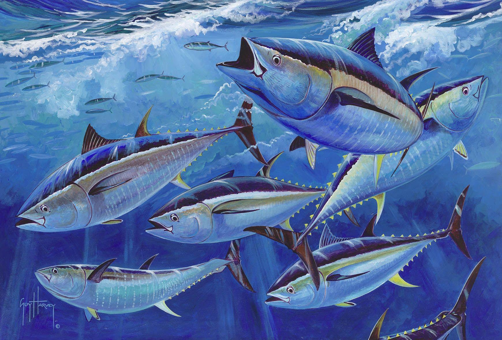 1740x1181 Yellowfin Tuna Wallpaper