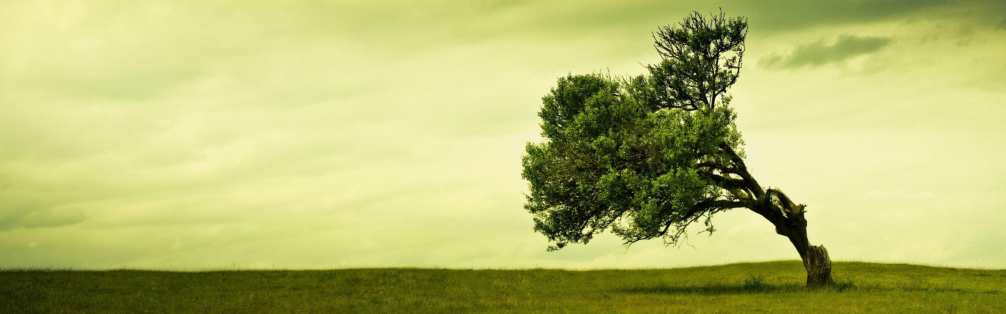 3839x1199 dual monitor wallpaper