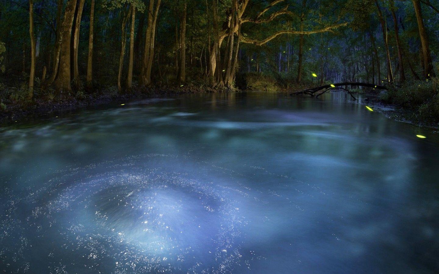 1440x900 Magic pond wallpaper. Magic pond