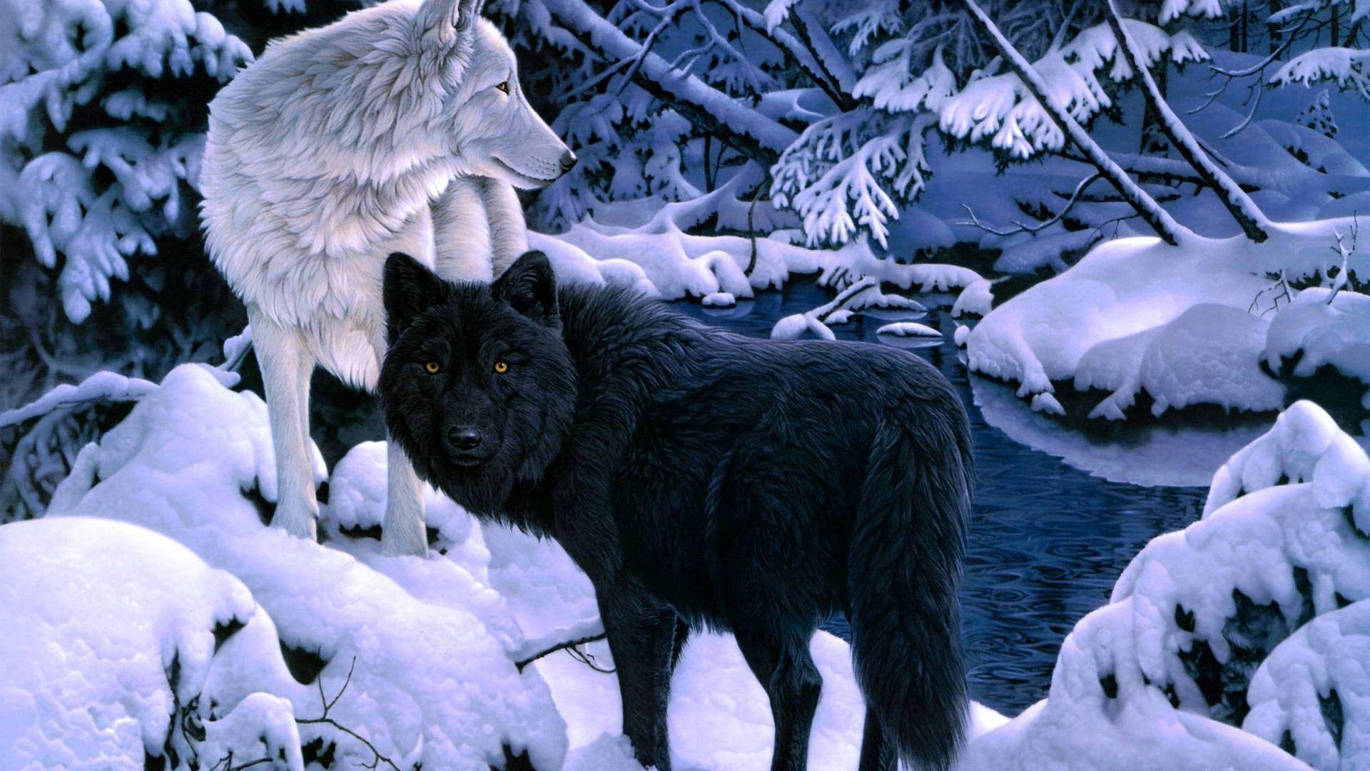 1920x1080 Free download Black And White Wolf Wallpaper White and black [1920x1200] for your Desktop, Mobile & Tablet. Explore Black and White Wolf Wallpaper. Black And White Desktop Wallpaper, Black