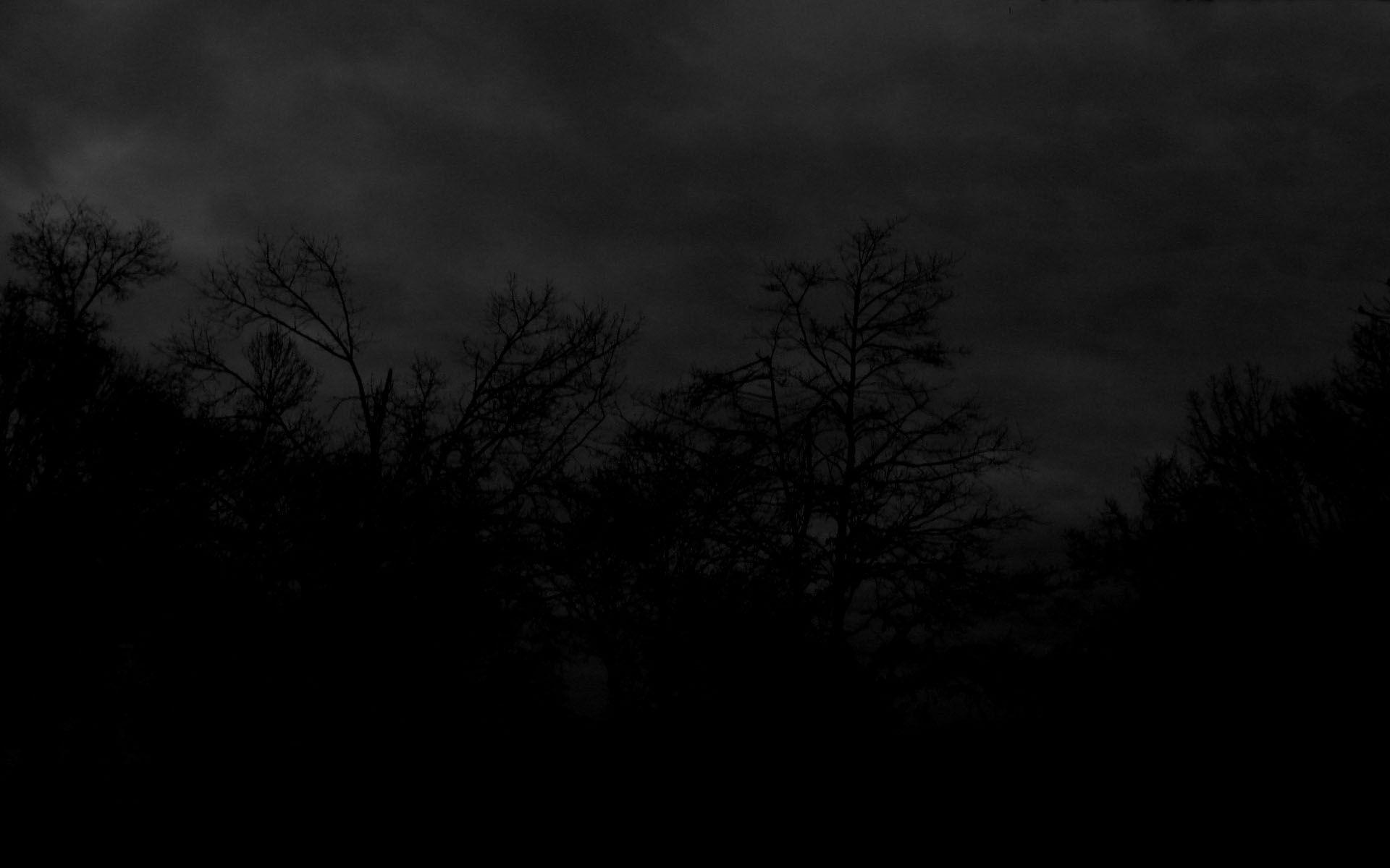 1920x1200 Black And White Desktop Wallpaper