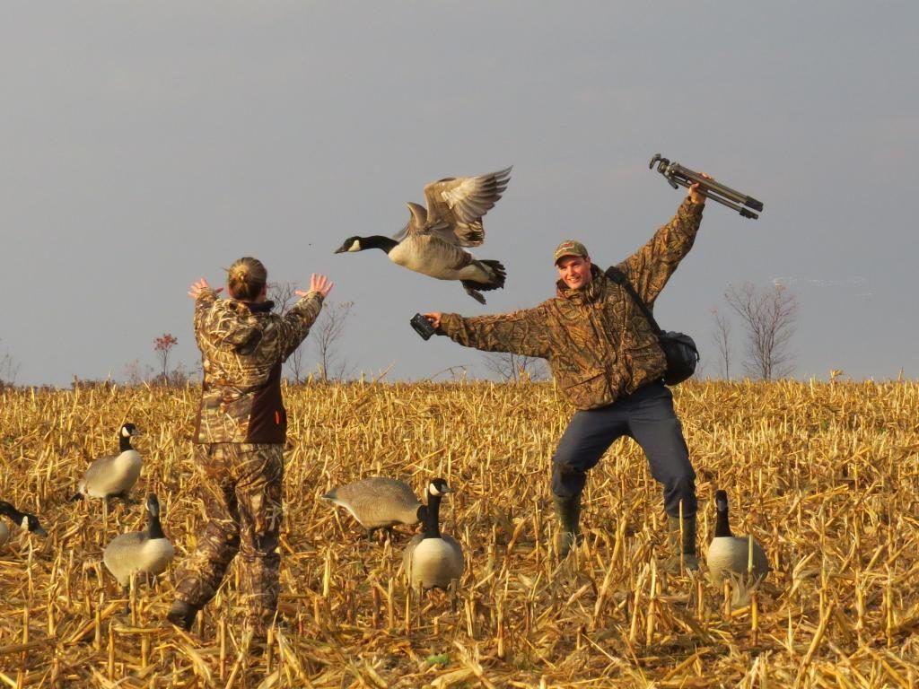 1024x768 Duck Hunting Wallpaper wallpaper Collections