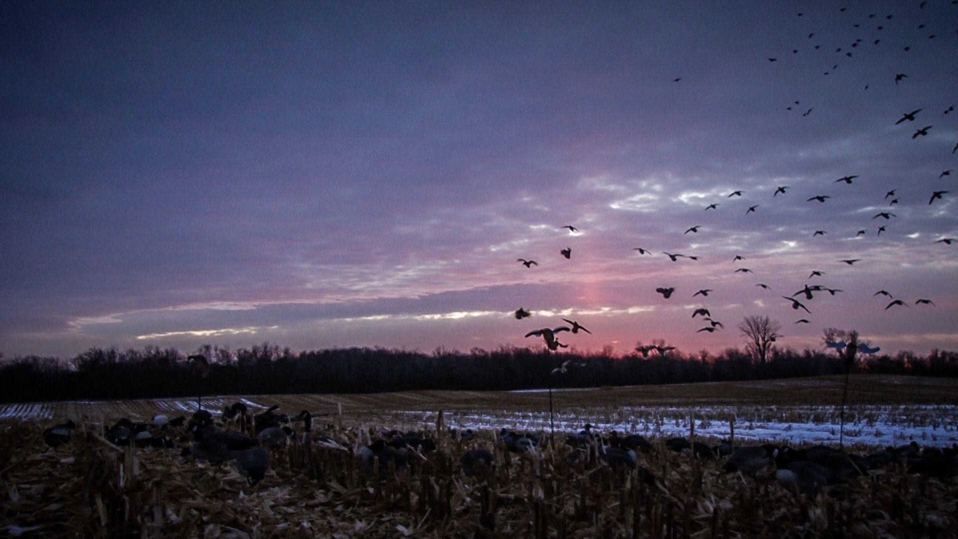 1920x1080 Hunting Wallpaper
