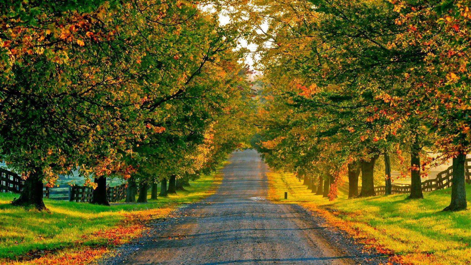 1600x900 Elithmus.com: Beautiful Nature