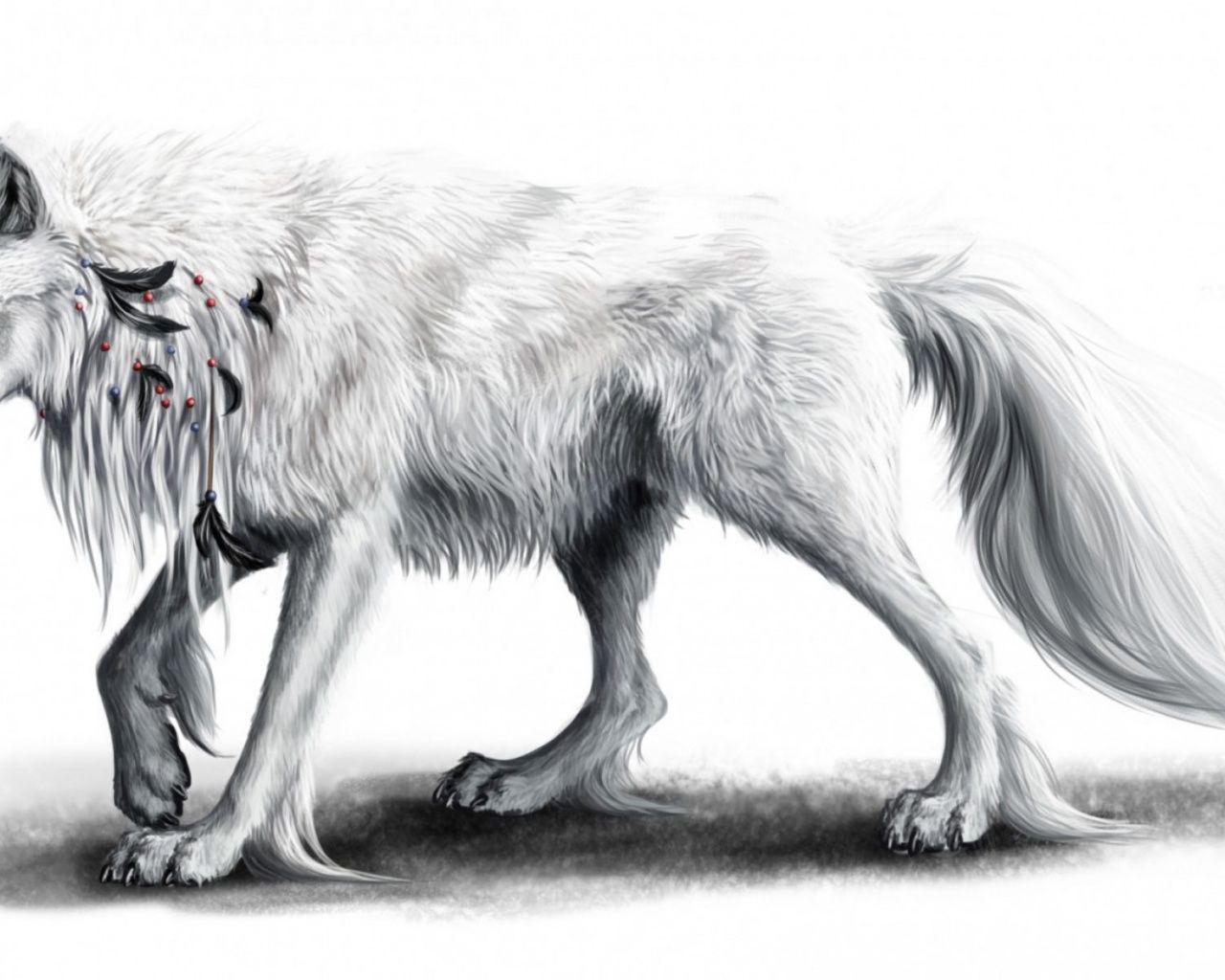 1280x1024 White Wolf & Black Feathers desktop PC and Mac wallpaper