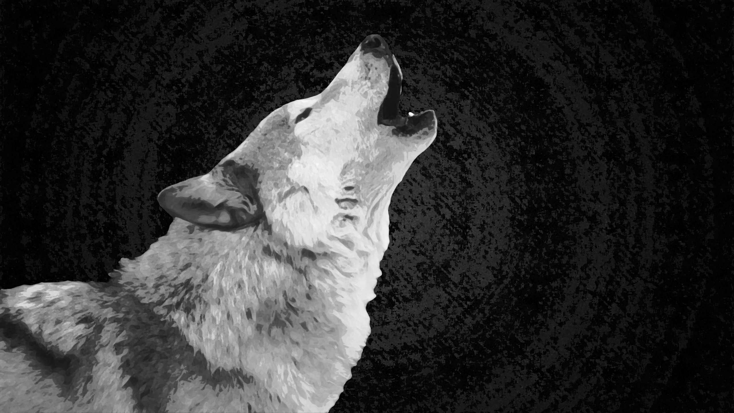 2560x1440 White Wolf Wallpaper